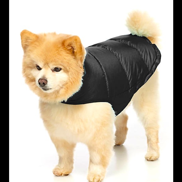 32 Degree Heat Reversible Down Dog Coat 🐶🐾 - Picture 4 of 4